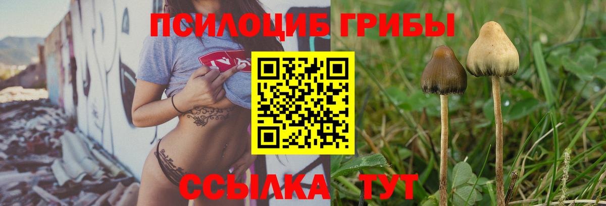 Псилоцибиновые грибы MAGIC MUSHROOMS  где купить   Ачхой-Мартан  Вход с VPN  Псилоцибиновые грибы мухоморы 